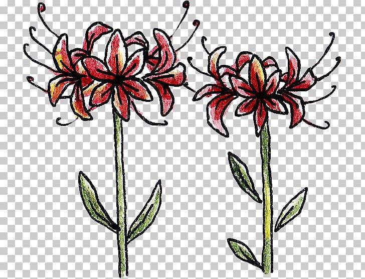 Plant Red Spider Lily PNG, Clipart, Cut Flowers, Download, Flora, Floral Design, Flower Free PNG Download