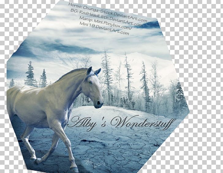 Stallion Stock Photography Brand Sky Plc PNG, Clipart, Bakcground, Brand, Horse, Horse Like Mammal, Liverpool Fc Free PNG Download