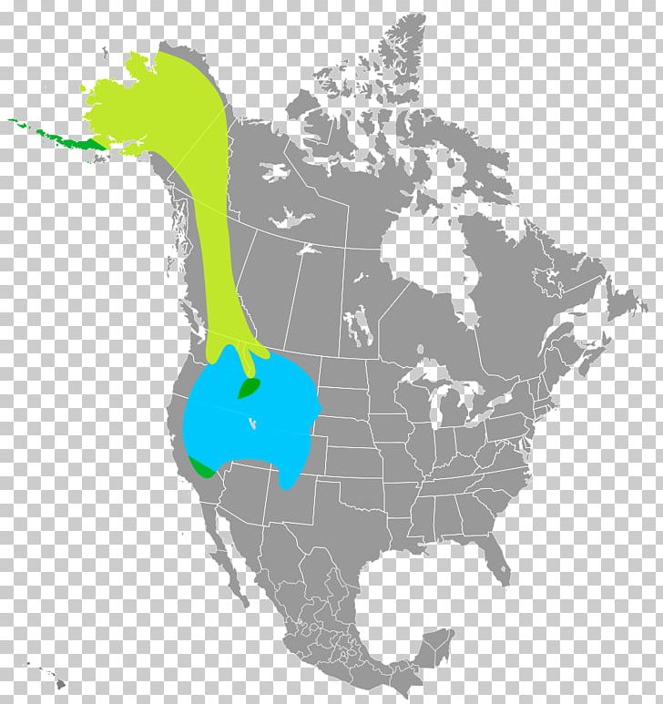 United States PNG, Clipart, Americas, Computer Icons, Map, North America, Organism Free PNG Download