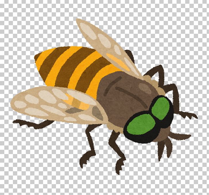 Honey Bee アブ Fly 虫 PNG, Clipart, Abu, Arthropod, Bee, Blood, Fauna Free PNG Download