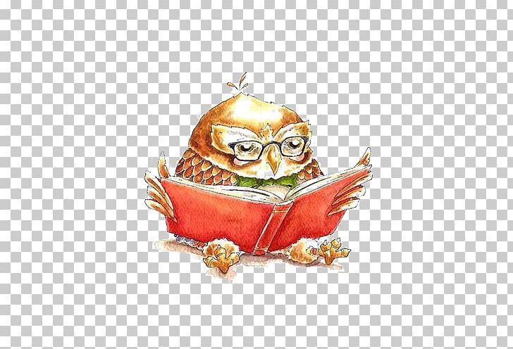 Little Owl Drawing PNG, Clipart, Animals, Animation, Bird, Bird Of Prey, Book Free PNG Download