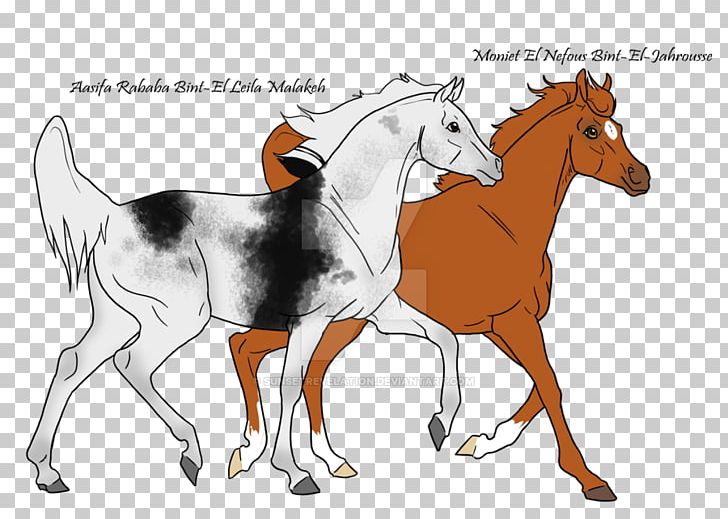 Mustang Foal Colt Stallion Bridle PNG, Clipart, Cartoon, Character, Colt, Fictional Character, Horse Free PNG Download