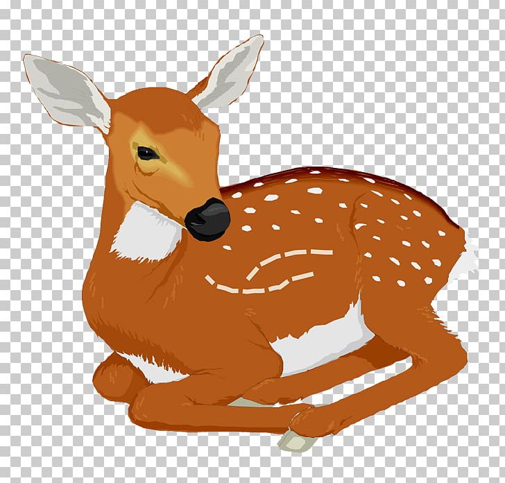 White-tailed Deer PNG, Clipart, Animals, Cartoon, Christmas Deer, Cuteness, Deer Free PNG Download