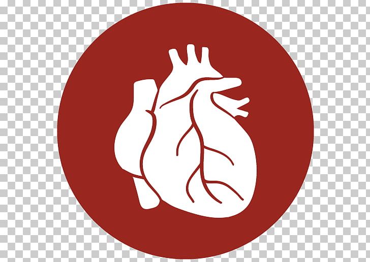 Heart Transplantation Lung Organ Transplantation PNG, Clipart, Area, Breathing, Cancer, Cardiovascular Disease, Circle Free PNG Download