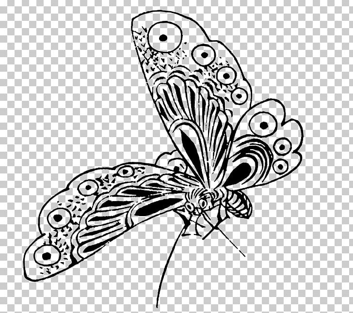 Monarch Butterfly Drawing Black And White PNG, Clipart, Artwork, Beak, Black, Black And White, Brush Footed Butterfly Free PNG Download