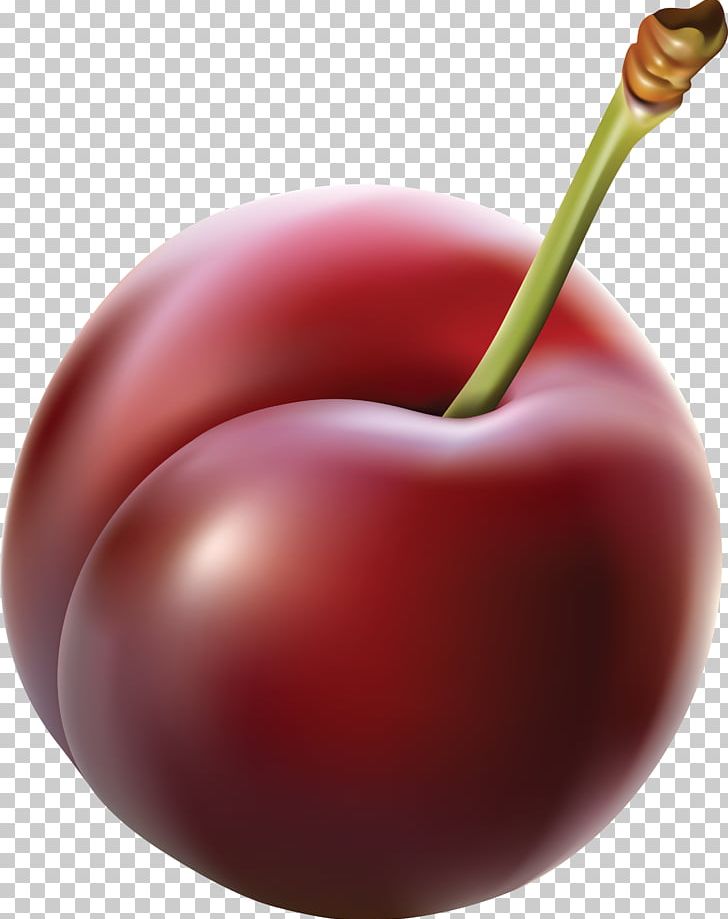 Plum PNG, Clipart, Plum Free PNG Download