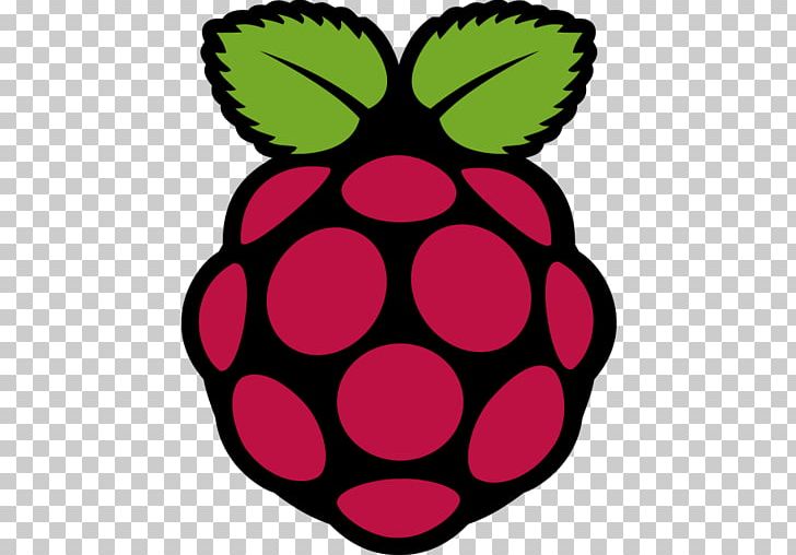Raspberry Pi 3 Single-board Computer Installation PNG, Clipart, Circle, Computer, Computer Software, Flower, Flowering Plant Free PNG Download