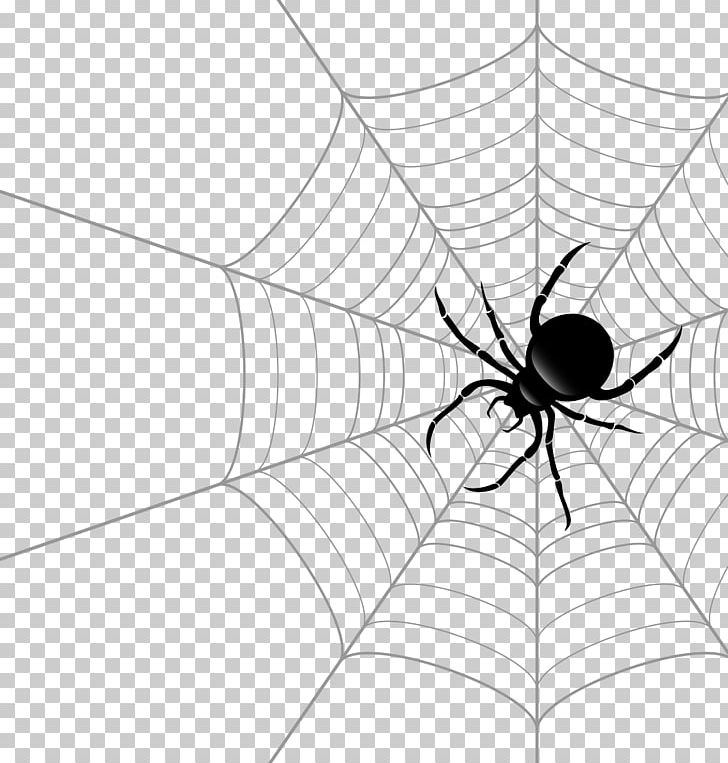 Spider Web Theridiidae Euclidean PNG, Clipart, Abstract, Arachnid, Art, Arthropod, Black Free PNG Download