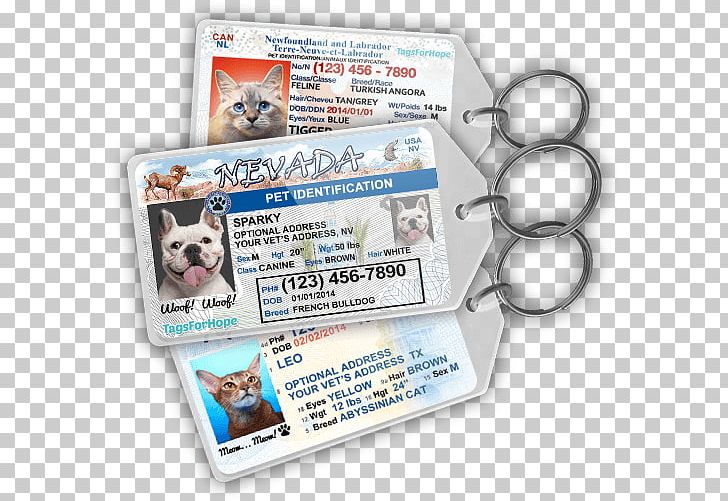Dog Cat Puppy Pet Tag PNG, Clipart, Animal, Animal Rescue Group, Animals, Cat, Collar Free PNG Download