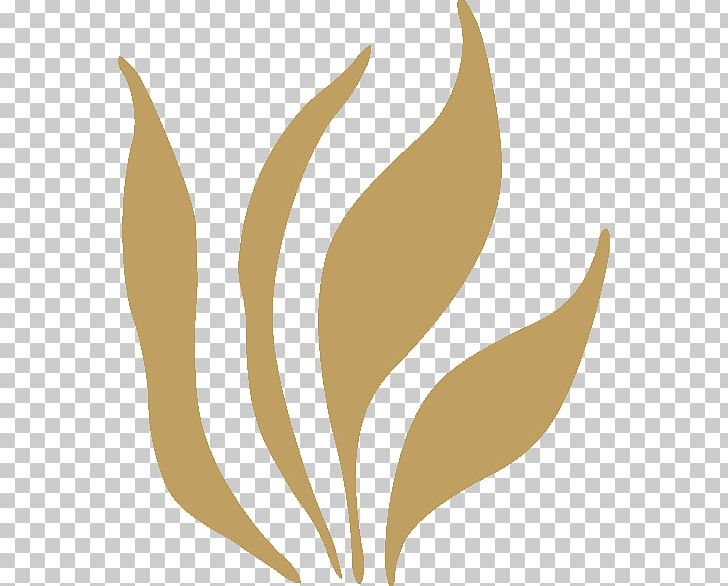 Leaf Plant Stem Flower Font PNG, Clipart, Flower, Gold, Grass, Leaf, Library Free PNG Download