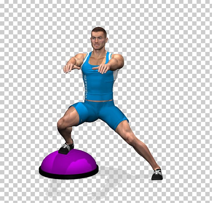 Medicine Balls Physical Fitness BOSU Squat Exercise PNG, Clipart, Abdomen, Aerobic Exercise, Arm, Balance, Ball Free PNG Download