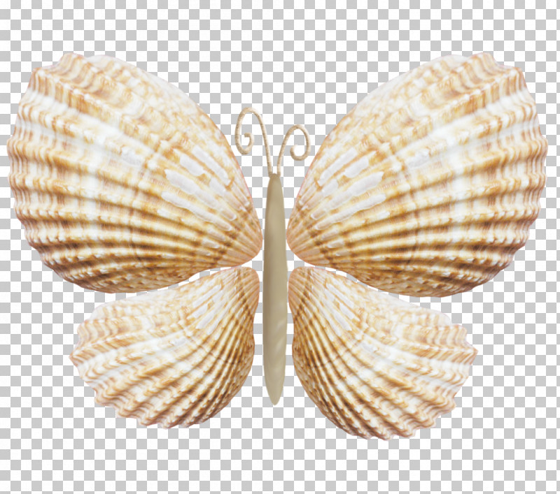Cockle Shell Bivalve Jewellery Wing PNG, Clipart, Bivalve, Clam, Cockle, Jewellery, Shell Free PNG Download