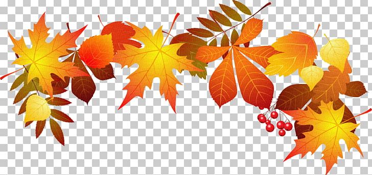 Autumn Leaf Color PNG, Clipart, Autumn, Autumn Leaf Color, Autumn Leaves, Branch, Computer Icons Free PNG Download