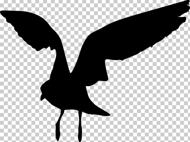 Bird Black And White Monochrome Photography Silhouette PNG, Clipart, Animals, Beak, Bird, Black And White, Fauna Free PNG Download