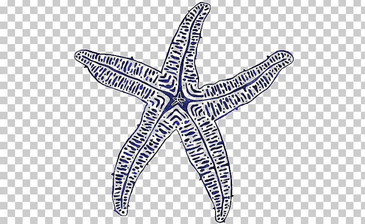 Starfish Painting Beach Sea Coast PNG, Clipart, Animals, Art, Beautiful Starfish, Blue, Cartoon Starfish Free PNG Download