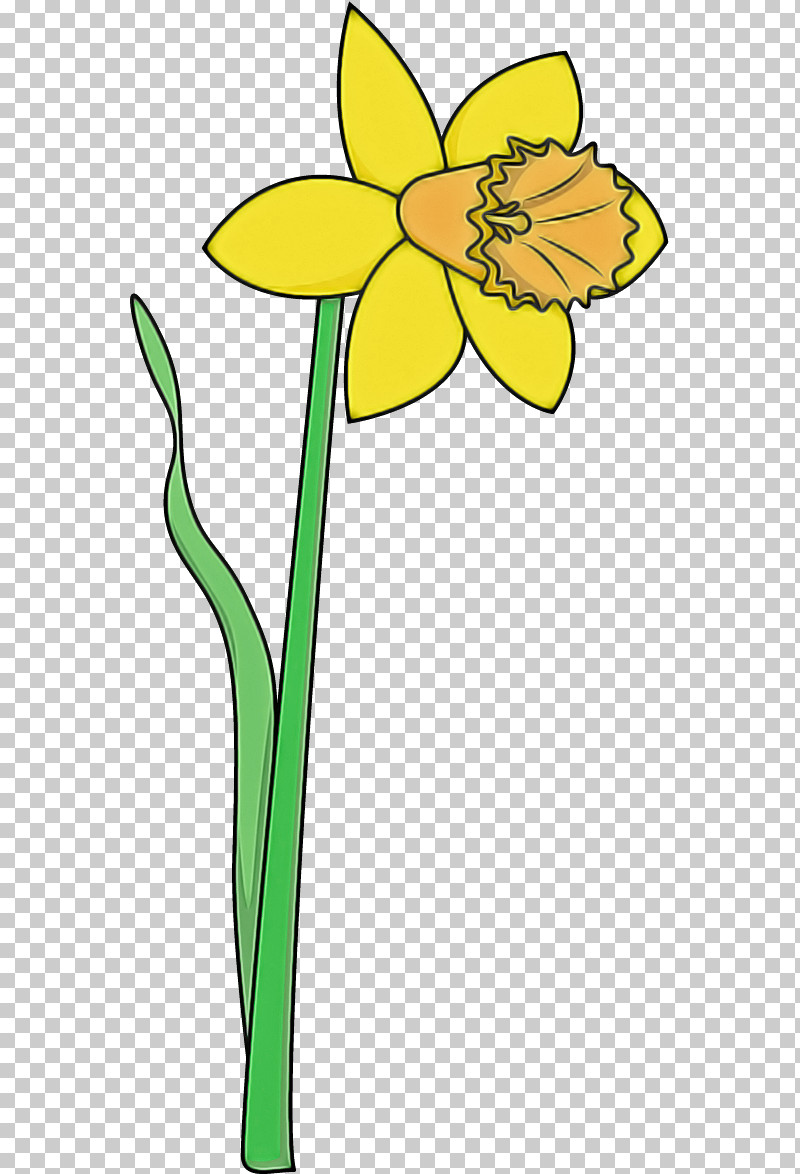 Yellow Flower Plant Stem Plant Narcissus PNG, Clipart, Amaryllis Family, Cut Flowers, Flower, Narcissus, Pedicel Free PNG Download