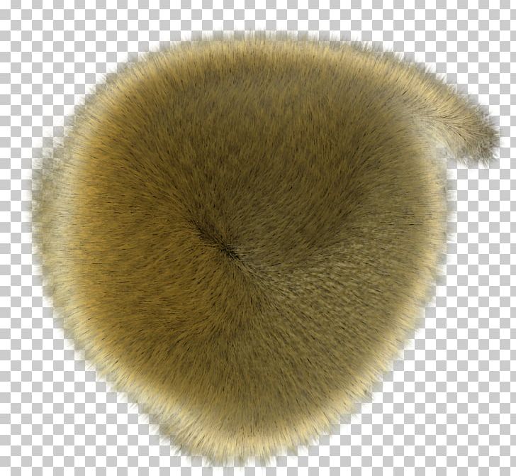 Fur Snout PNG, Clipart, Fur, Fuzzy, Material, Snout, Wool Free PNG Download