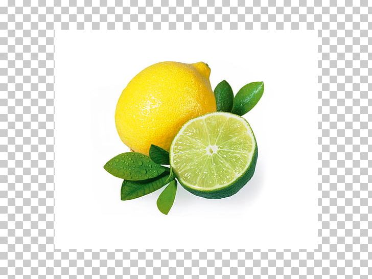 Lemon Lime Drink Lemon Lime Drink Persian Lime Citron Png Clipart Aroma Bitter Orange Citric