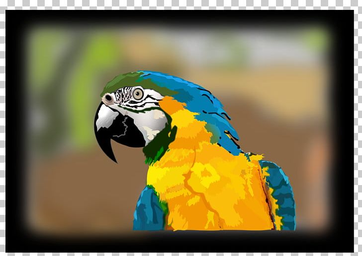 Blue-and-yellow Macaw PNG, Clipart, Amazonia, Beak, Bird, Blue And Yellow Macaw, Blueandyellow Macaw Free PNG Download