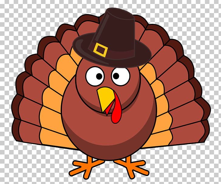 Thanksgiving Turkeys Turkey Meat PNG, Clipart, Beak, Bird, Cartoon, Chicken, Christmas Free PNG Download
