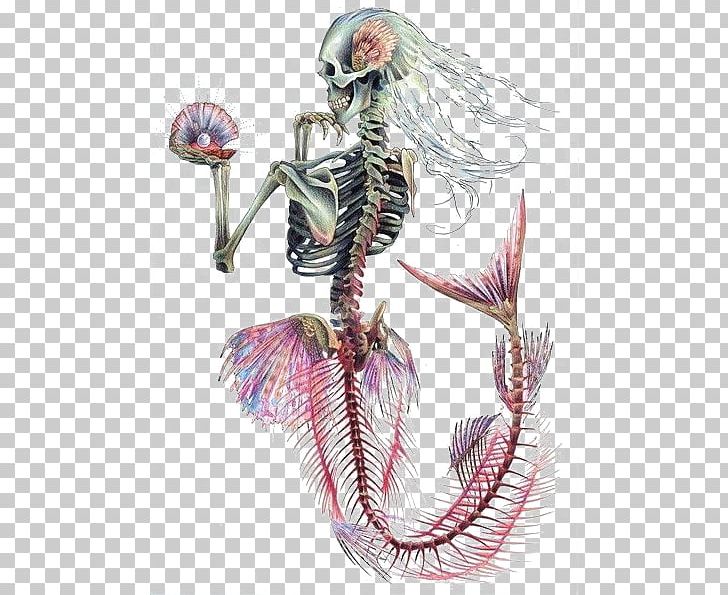 Ariel Mermaid Human Skeleton Skull PNG, Clipart, Ariel Mermaid, Art, Art Museum, Calavera, Drawing Free PNG Download