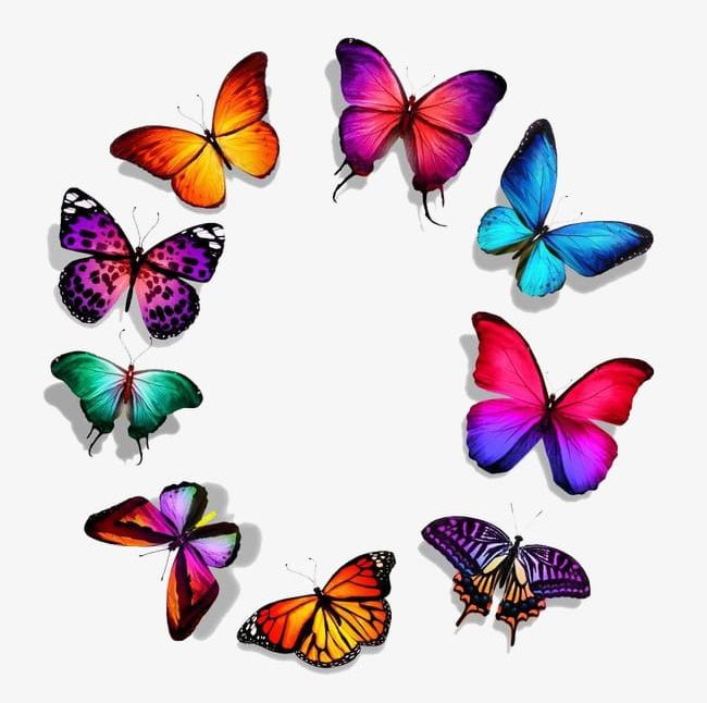 Butterfly Series PNG, Clipart, Beautiful, Beautiful Butterfly, Beautiful Clipart, Beautiful Clipart, Butterfly Free PNG Download
