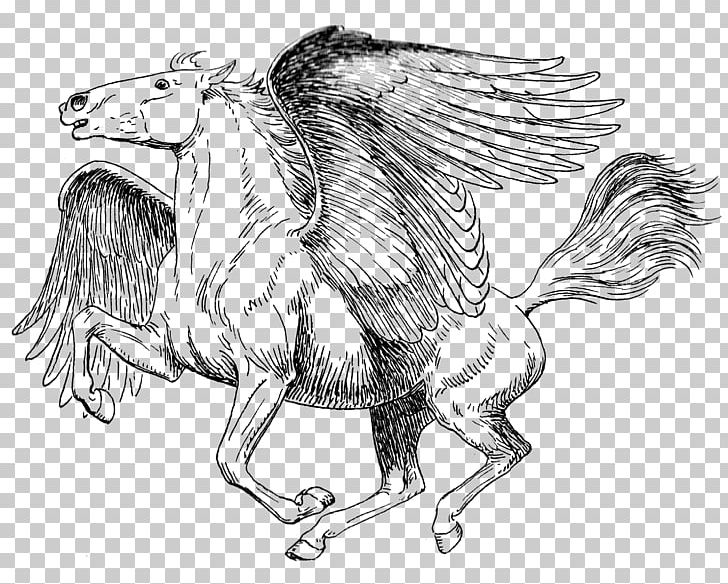Coloring Book Drawing Pegasus Sketch PNG, Clipart, Bird, Carnivoran, Chicken, Dimension, Dog Like Mammal Free PNG Download