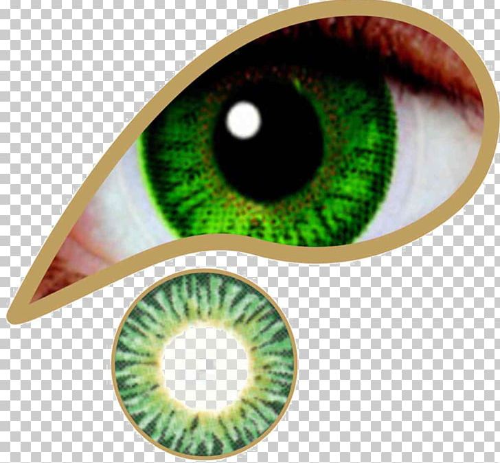 Contact Lenses Green Color Emerald PNG, Clipart, Aqua, Blue, Bluegreen, Closeup, Color Free PNG Download