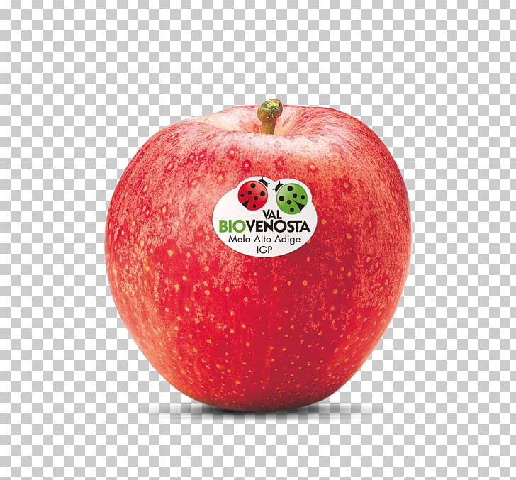 McIntosh Red Gala Apple Cripps Pink Red Delicious PNG, Clipart, Apple, Biofach, Cripps Pink, Diet Food, Food Free PNG Download