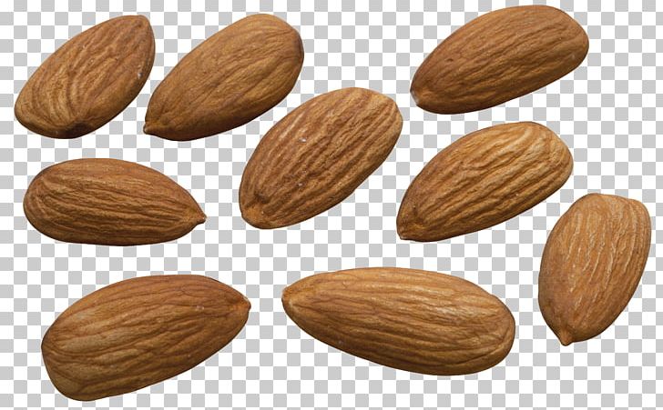 Nut Almond Biscuit Apricot Kernel Food PNG, Clipart, Almond, Almond Biscuit, Apricot, Apricot Kernel, Commodity Free PNG Download