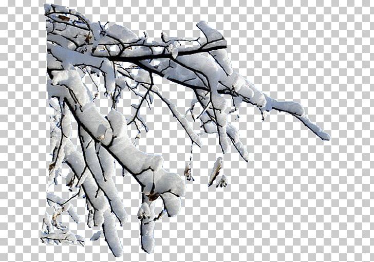 Snow Depositphotos Internet PNG, Clipart, Blog, Branch, Cerasus, Depositphotos, Hand Free PNG Download