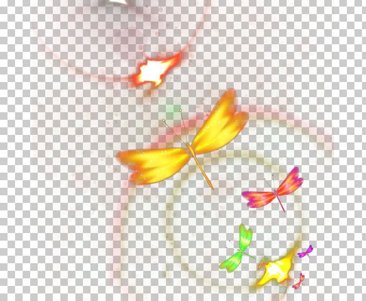 Yellow Petal Close-up Pattern PNG, Clipart, Aperture, Butterfly, Butterfly Vector, Close Up, Closeup Free PNG Download