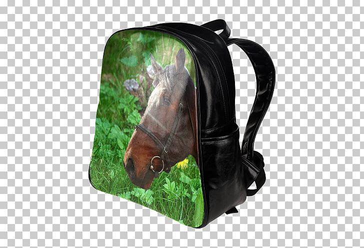 Backpack Baggage Travel Pocket PNG, Clipart, Backpack, Bag, Baggage, Bicast Leather, Bridle Free PNG Download