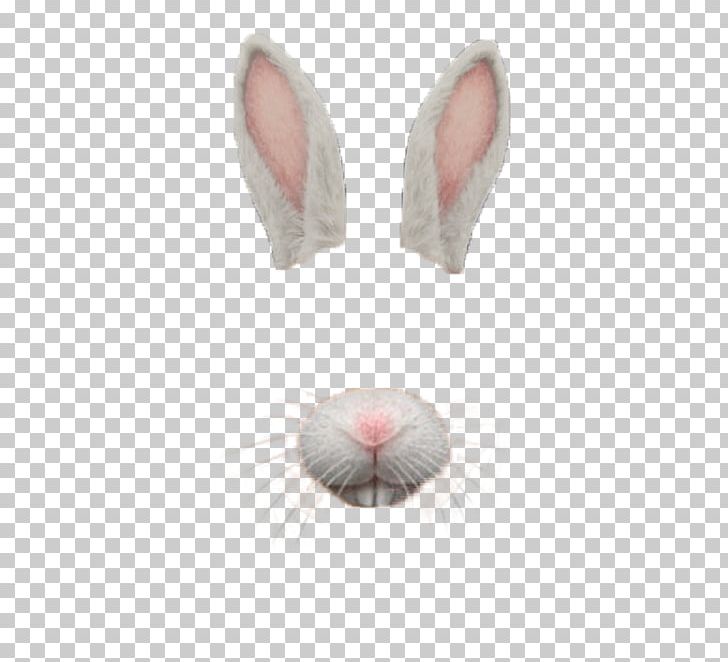 Computer Icons PNG, Clipart, Computer Icons, Domestic Rabbit, Ear, Editing, Fur Free PNG Download