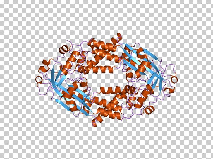 Methionine Synthase Cystathionine Beta Synthase Homocysteine PNG, Clipart, Activation, Art, Circle, Crystal, Crystal Structure Free PNG Download