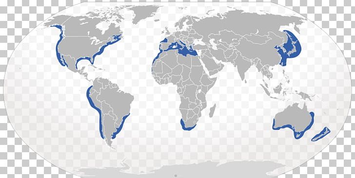World Map Historical Maps Atlas Of The World PNG, Clipart, Atlas, Blank Map, Blue, Early World Maps, Earth Free PNG Download