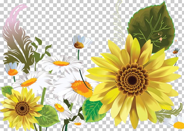 Limousin .de PNG, Clipart, Annual Plant, Camomile, Chrysanths, Cut Flowers, Daisy Free PNG Download