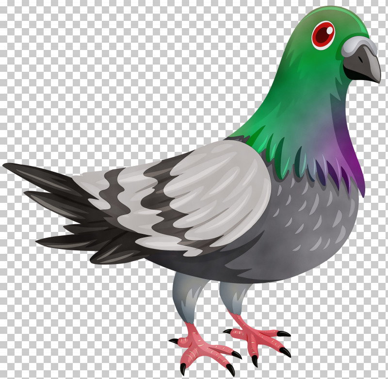 Feather PNG, Clipart, Beak, Bird, Feather, Paint, Pigeons And Doves Free PNG Download