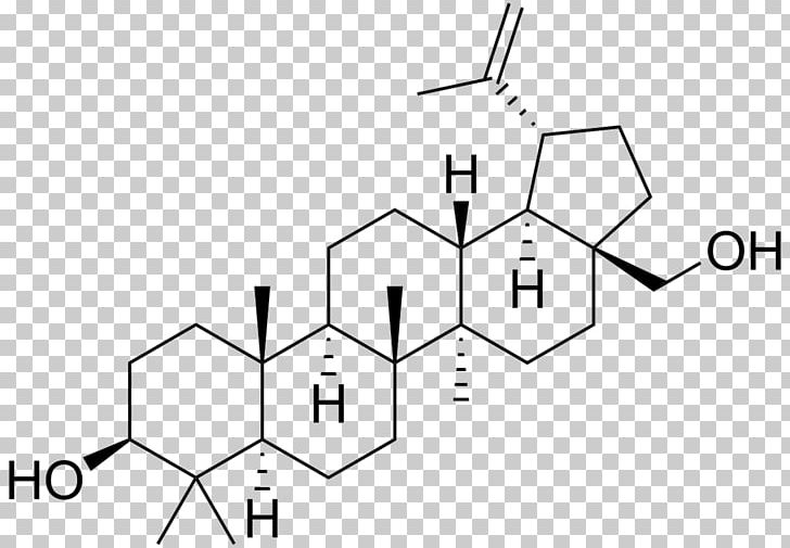 Betulin Triterpene Oleanolic Acid Chemical Compound Research PNG, Clipart, Angle, Area, Betulin, Black And White, Chemical Compound Free PNG Download