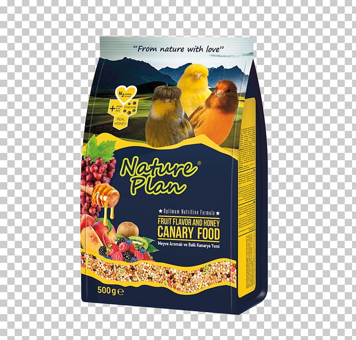 Budgerigar Bird Food Fodder Atlantic Canary PNG, Clipart, Animal Feed, Animals, Atlantic Canary, Bird, Bird Food Free PNG Download