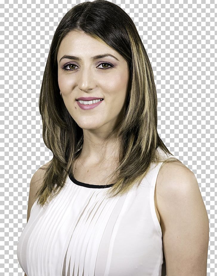 Narine Petrosyan Pogosian & Company PNG, Clipart, Accountant, Actor, Black Hair, Bookkeeping, Brown Hair Free PNG Download