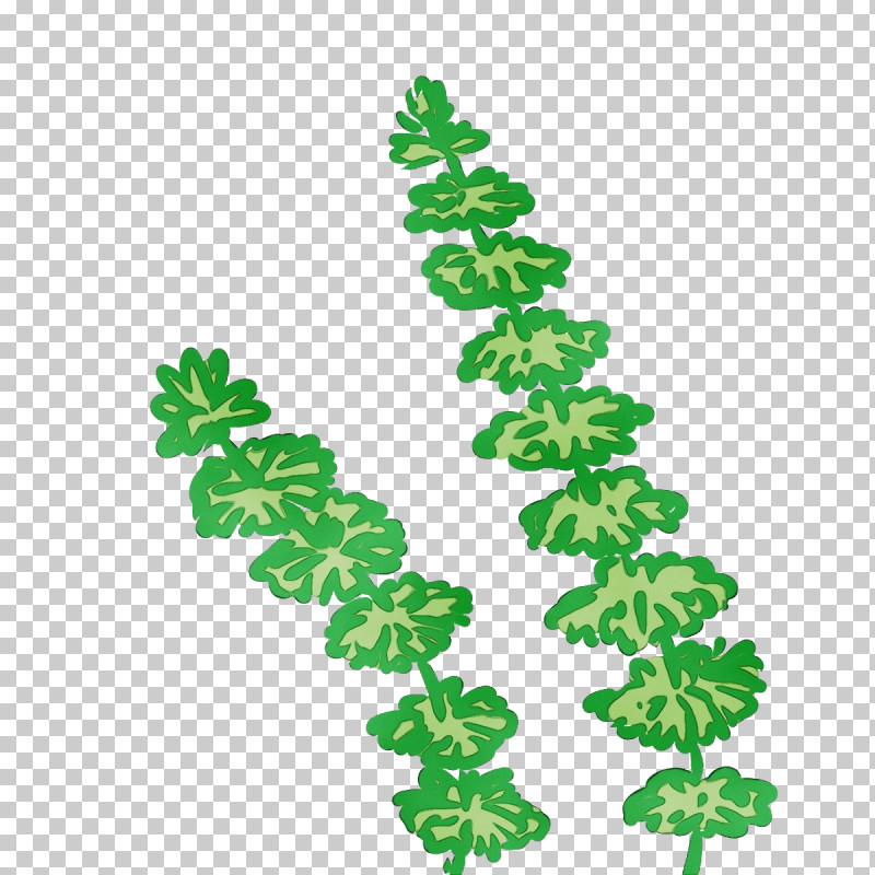 Leaf Line Plants Plant Structure Biology PNG, Clipart, Biology, Leaf, Line, Paint, Plants Free PNG Download