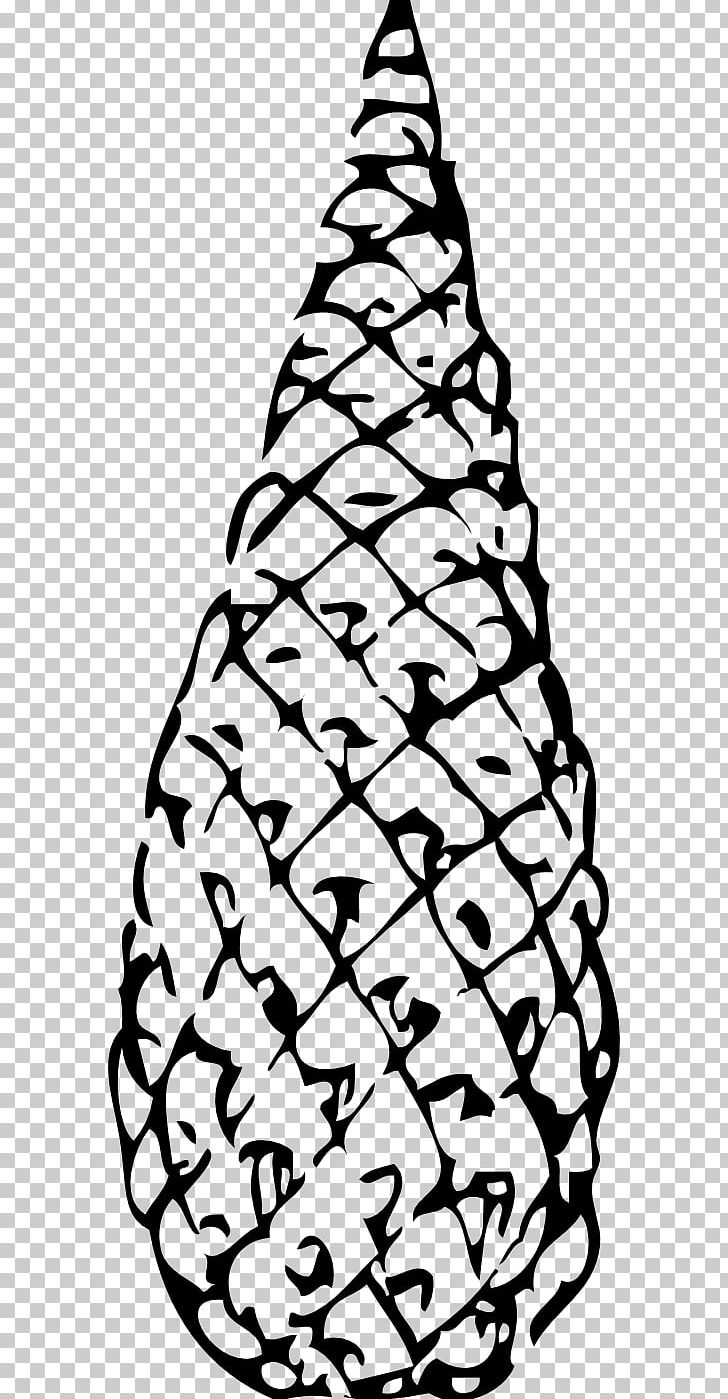 Conifer Cone Single-leaf Pinyon PNG, Clipart, Black And White, Cedar, Christmas Decoration, Christmas Tree, Color Free PNG Download