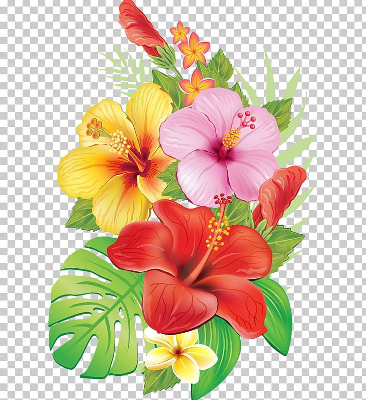 Drawing Flower PNG, Clipart, Alstroemeriaceae, Annual Plant, Art, Chinese Hibiscus, Cut Flowers Free PNG Download