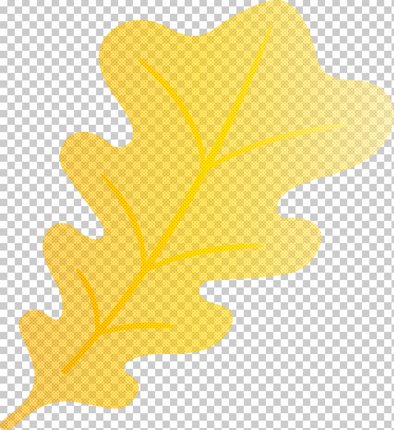 Oak Leaf PNG, Clipart, Almond, Biology, Flower, Heart, Leaf Free PNG Download