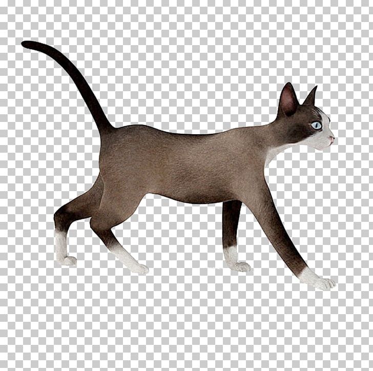 3D Computer Graphics 3D Modeling Tabby Cat Autodesk 3ds Max CGTrader PNG, Clipart, 3d Computer Graphics, 3d Modeling, Animal, Animals, Bro Free PNG Download