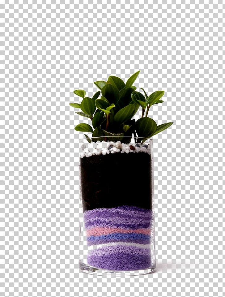 Flowerpot Plant Sand Computer File PNG, Clipart, Bud, Color Smoke, Color Splash, Decoration, Download Free PNG Download