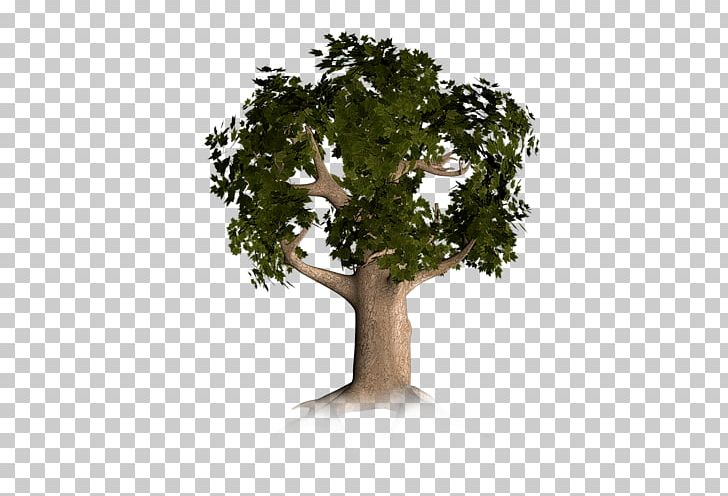 Trunk Branch Tree PNG, Clipart, 3d Computer Graphics, Branch, Computer, Computer Graphics, Download Free PNG Download
