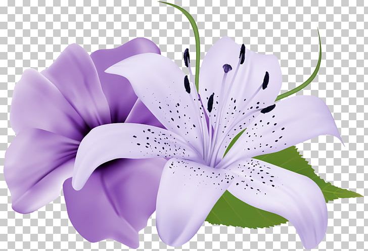 Flower Purple Lavender PNG, Clipart, Border Frames, Clip Art, Color, Desktop Wallpaper, Flower Free PNG Download