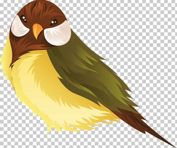 Parrot Lovebird PNG, Clipart, Aves, Beak, Bird, Bird Of Prey, Clip Art Free PNG Download